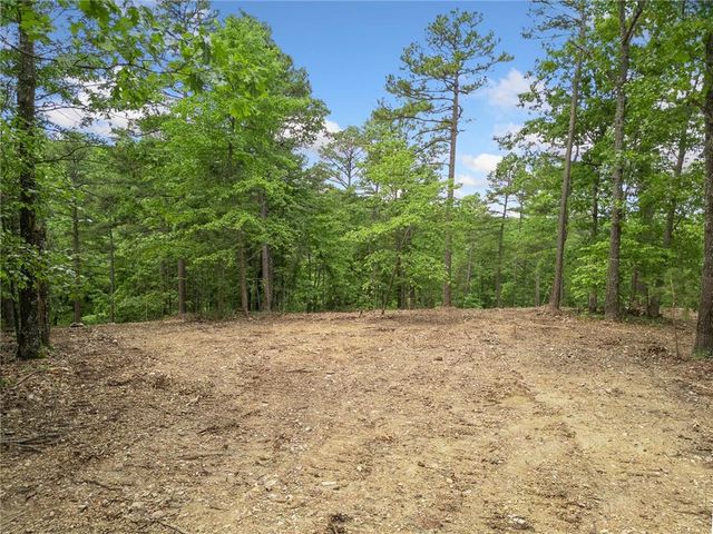 TBD Morgan Cave Road, Harrison, AR 72601