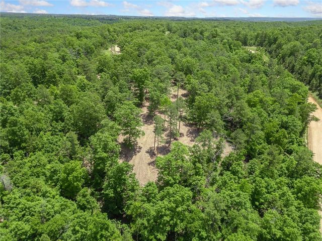 TBD Morgan Cave Road, Harrison, AR 72601