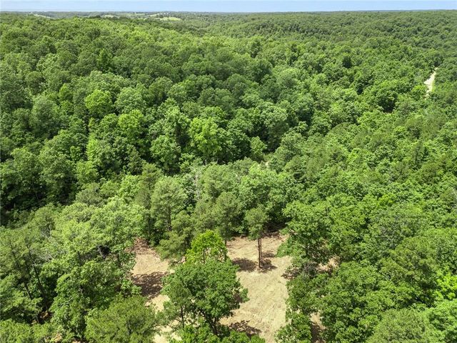 TBD Morgan Cave Road, Harrison, AR 72601