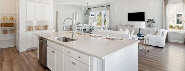 1043 Red Turnstone Run, Summerville, SC 29485