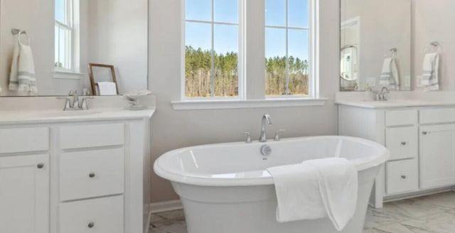 1043 Red Turnstone Run, Summerville, SC 29485