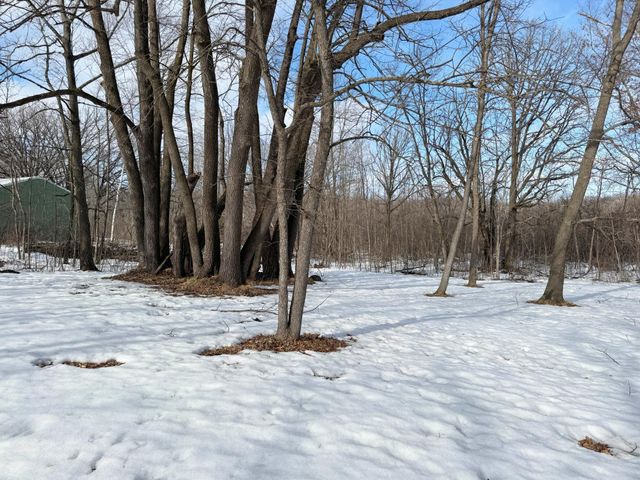 18500 Bogie Bay, Garrison, MN 56450