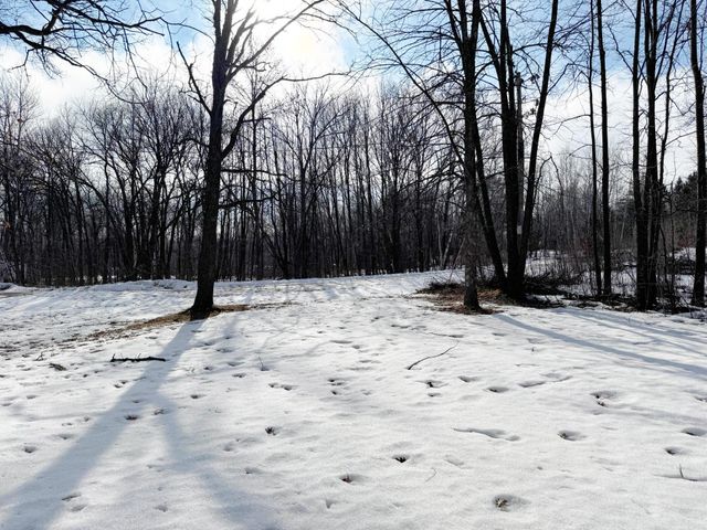 18500 Bogie Bay, Garrison, MN 56450