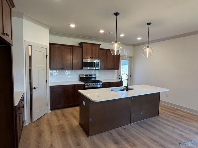 207 Esplanade Court, Huntsville, AL 35824
