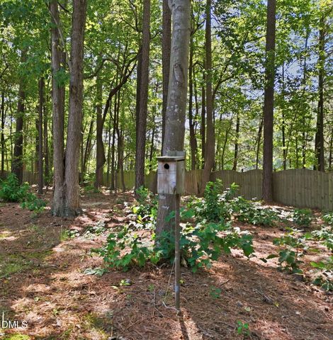 1219 Waterford Green Drive, Apex, NC 27502