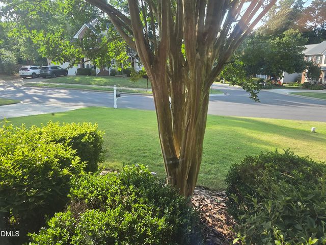 1219 Waterford Green Drive, Apex, NC 27502