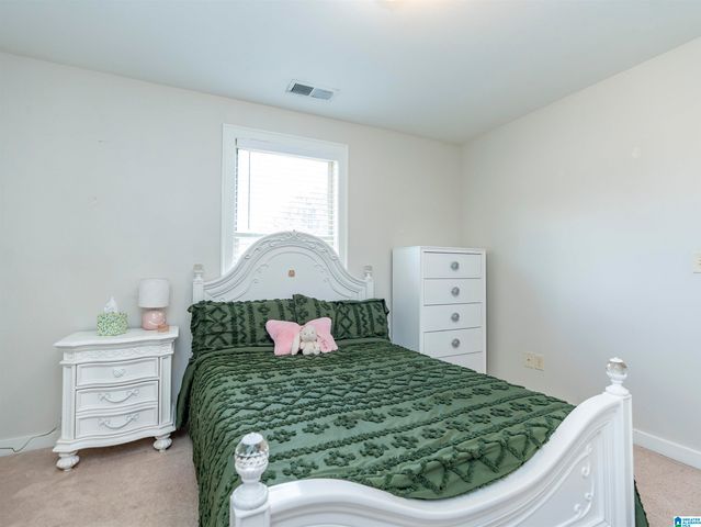 351 LAKE CHELSEA COURT, Chelsea, AL 35043