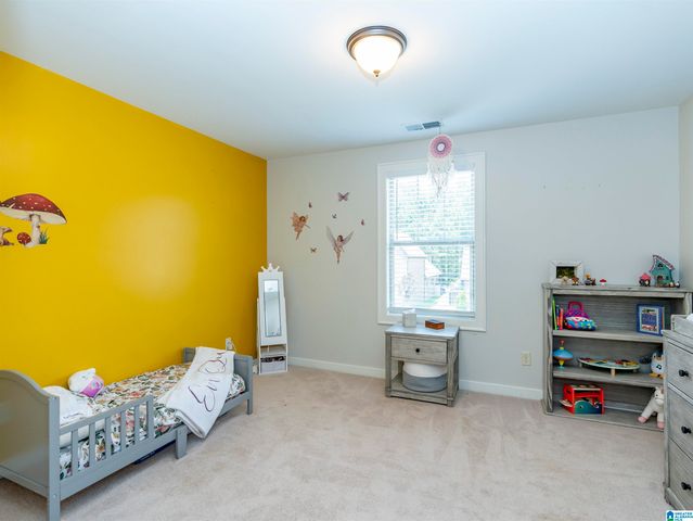 351 LAKE CHELSEA COURT, Chelsea, AL 35043