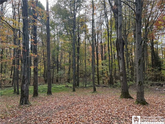 6651 Webber, Chautauqua, NY 14757