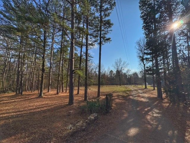 10439 Spring Mountain Road, Dardanelle, AR 72834