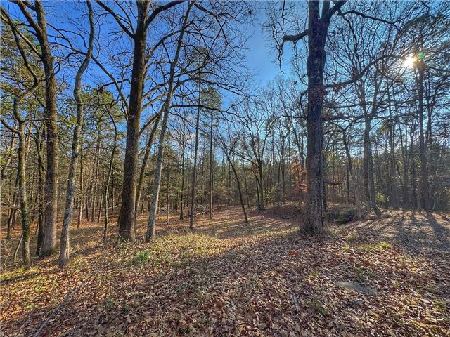 10439 Spring Mountain Road, Dardanelle, AR 72834