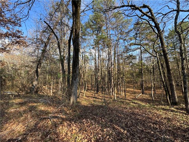 10439 Spring Mountain Road, Dardanelle, AR 72834