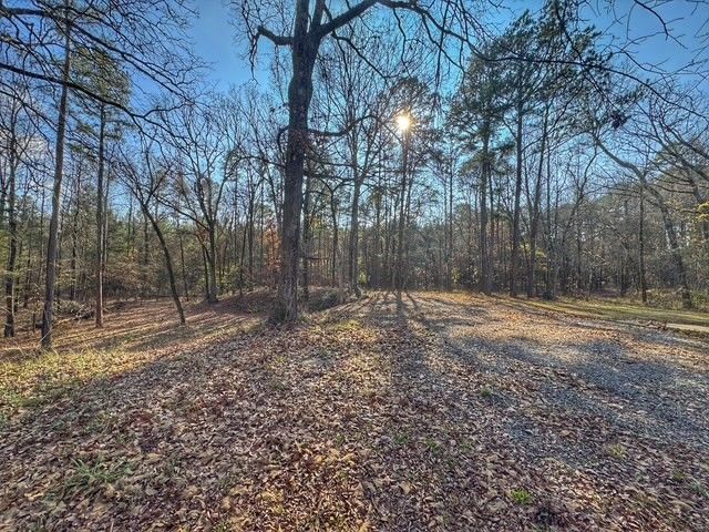 10439 Spring Mountain Road, Dardanelle, AR 72834