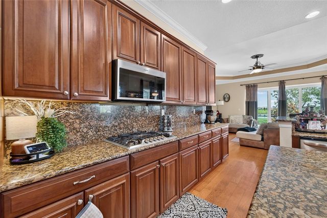 5207 LAKE VENICE DRIVE, Wimauma, FL 33598