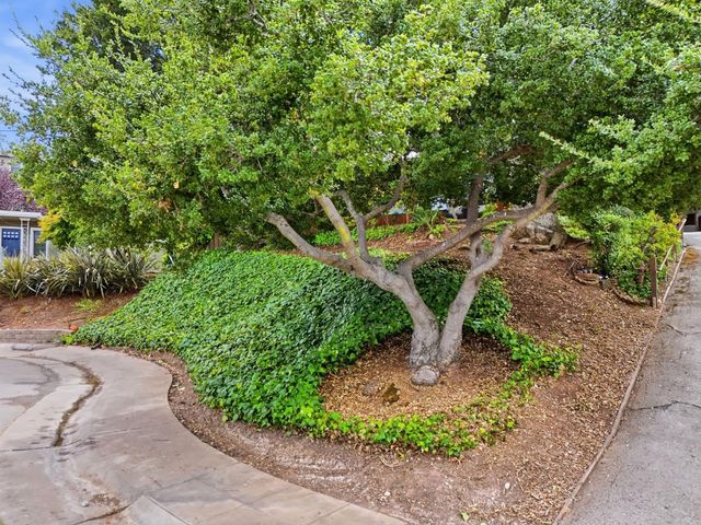 18 Hillbarn Court, San Mateo, CA 94403