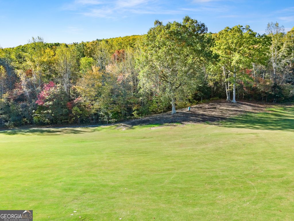 0 Orchard Drive, Clarkesville, GA 30523 — photo 5