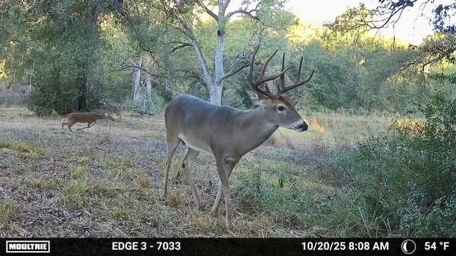 10822 N Korthauer, Bellville, TX 77418