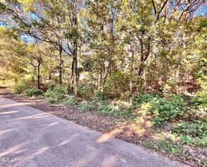 0 Snow Lake Drive, Ashland, MS 38603