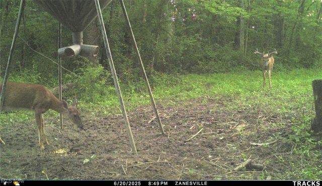 Rider Road, Roseville, OH 43777