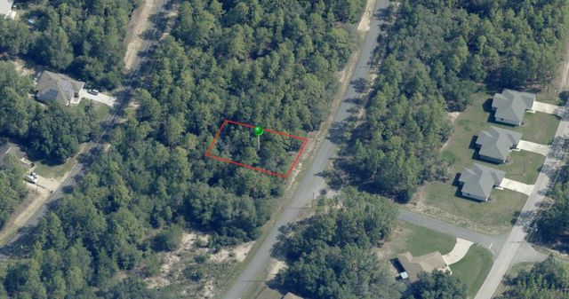 8100 N TRIANA DRIVE, Citrus Springs, FL 34434