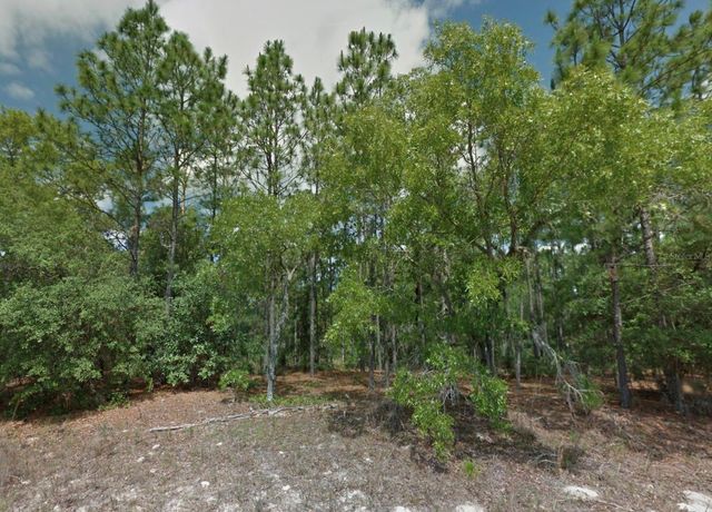 8100 N TRIANA DRIVE, Citrus Springs, FL 34434