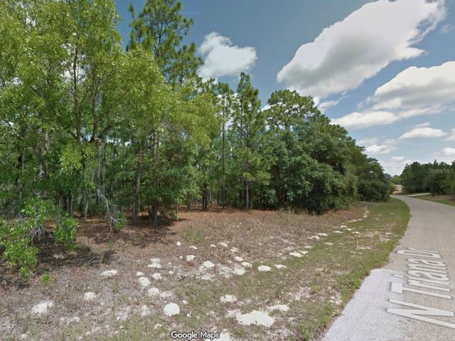 8100 N TRIANA DRIVE, Citrus Springs, FL 34434