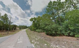 8100 N TRIANA DRIVE, Citrus Springs, FL 34434