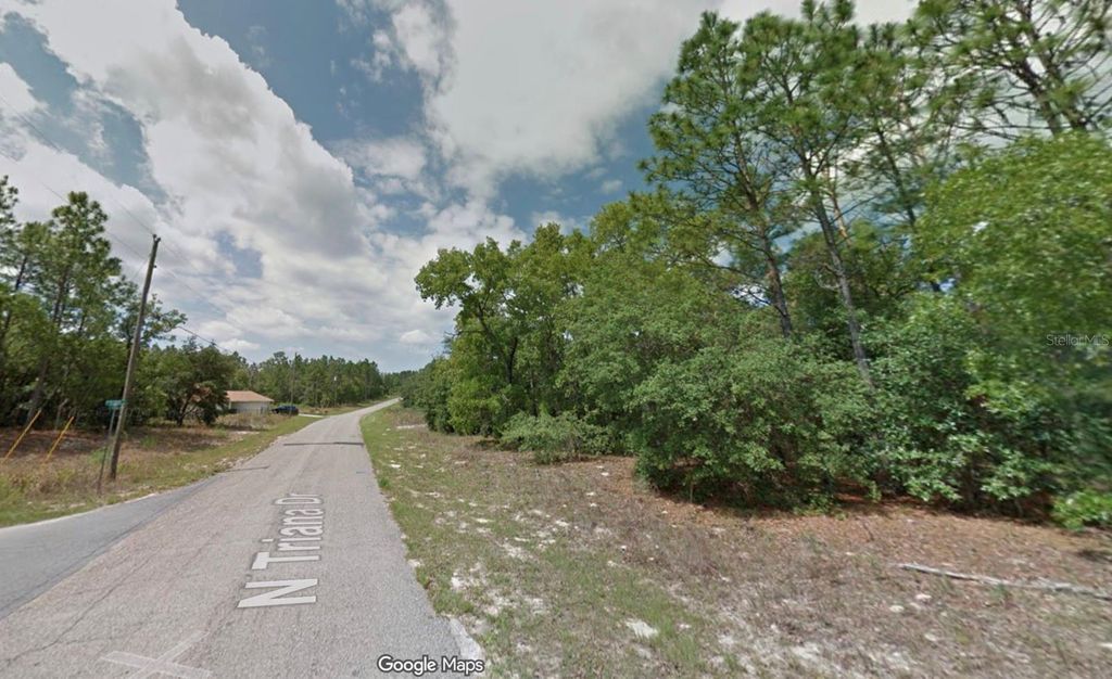 8100 N TRIANA DRIVE, Citrus Springs, FL 34434