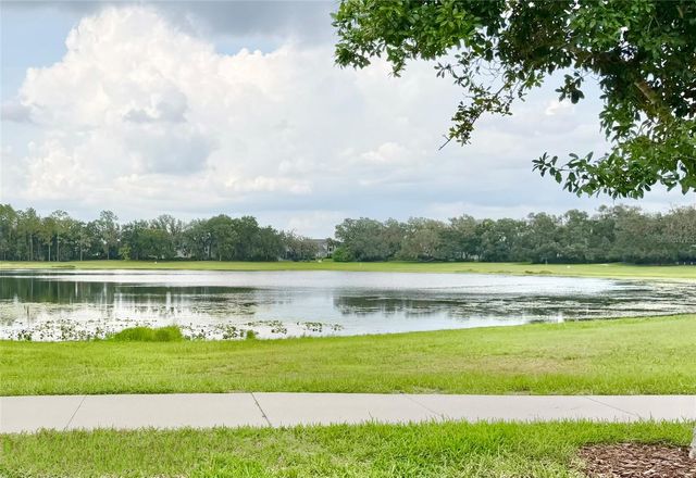 6008 SPARROWHEAD WAY, Lithia, FL 33547