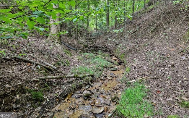 18 Gradient Court, Ellijay, GA 30540