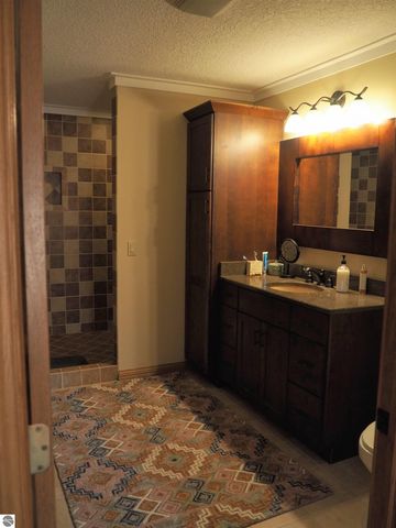 1584 W Chapman Road, Mt Pleasant, MI 48858