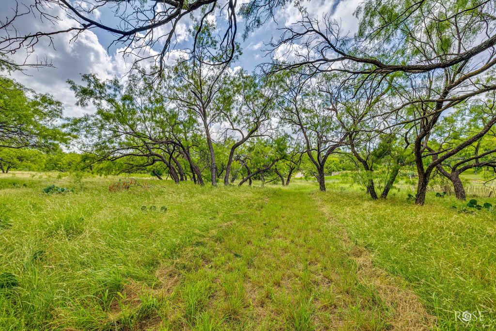 Image 28 of property listing at 12315 Dove Creek Lane West, San Angelo, TX 76904