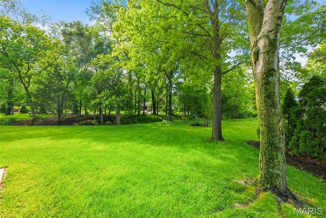 2412 Parkmoor Court, Des Peres, MO 63021