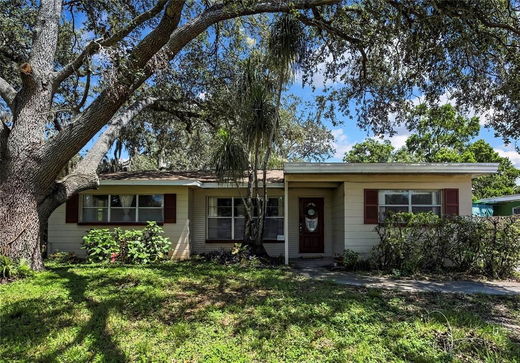 217 W BOUGAINVILLEA AVENUE, Tampa, FL 33612