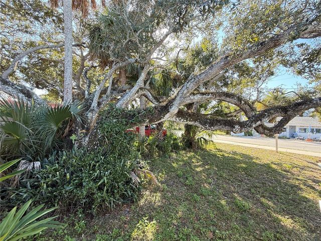 207 N PINE STREET, New Smyrna Beach, FL 32169
