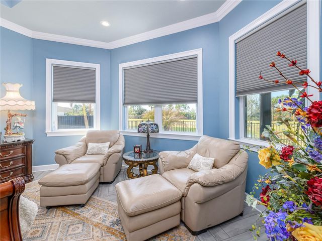 15303 VALENCIA DEL SOL STREET, Wimauma, FL 33598