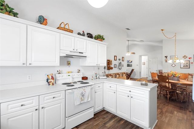 10320 BUMBLEBEE LANE, Leesburg, FL 34788