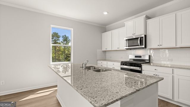 68 Beautyberry Lane, Dallas, GA 30132