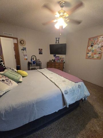 66 Wilson Haven Dr., Ashford, AL 36312