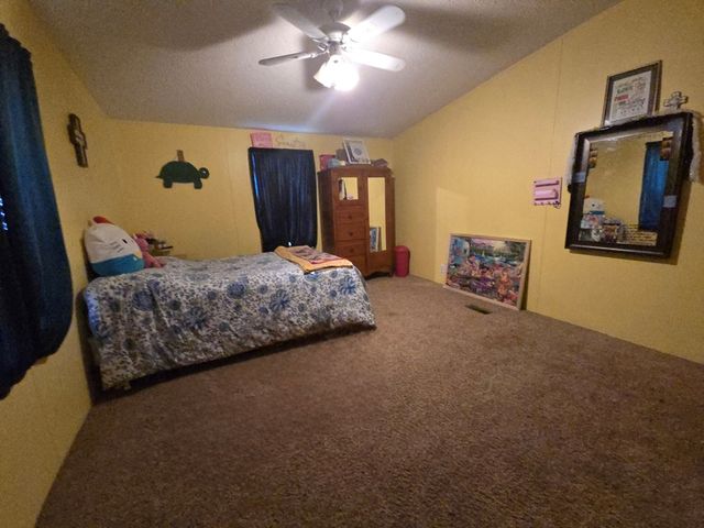 66 Wilson Haven Dr., Ashford, AL 36312