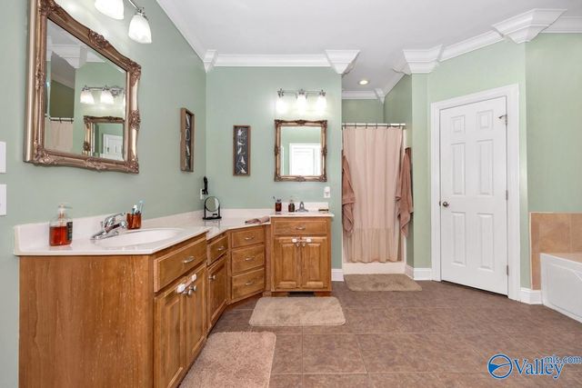 27503 Michael Lane, Toney, AL 35773