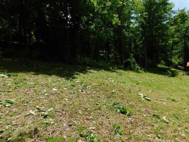 184 Meadow Drive, Harlan, KY 40831