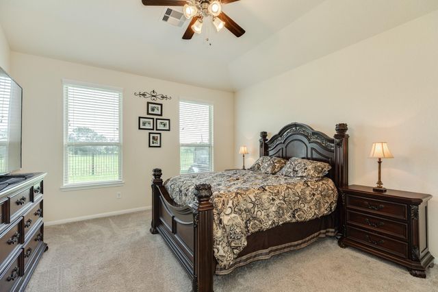 119 Bower Bloom Drive, Rosharon, TX 77583