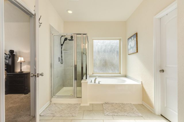 119 Bower Bloom Drive, Rosharon, TX 77583