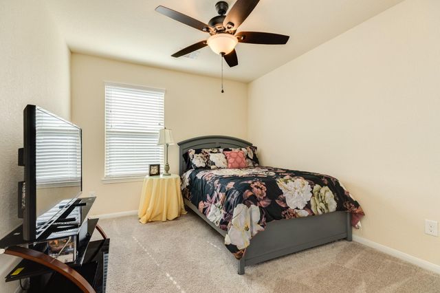 119 Bower Bloom Drive, Rosharon, TX 77583