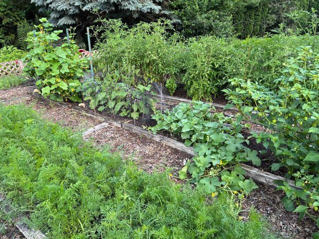 34 Maple View Court, Madison, WI 53719