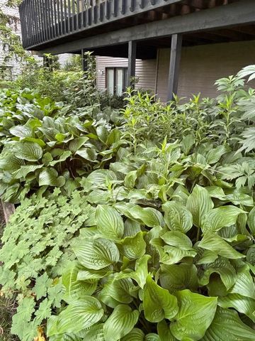 34 Maple View Court, Madison, WI 53719