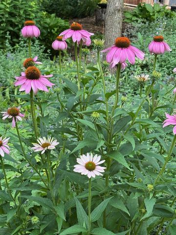 34 Maple View Court, Madison, WI 53719