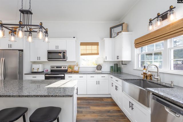 530 Fort Street, Pelion, SC 29123