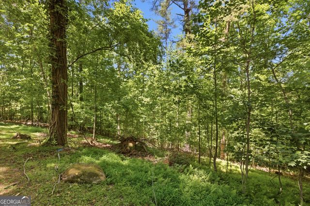 313 Pratten Drive, Cleveland, GA 30528